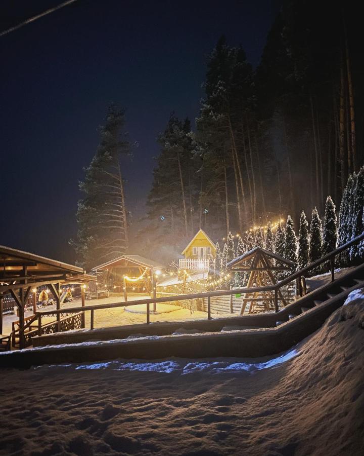 Pensiunea Ioana Ruginesti ภายนอก รูปภาพ