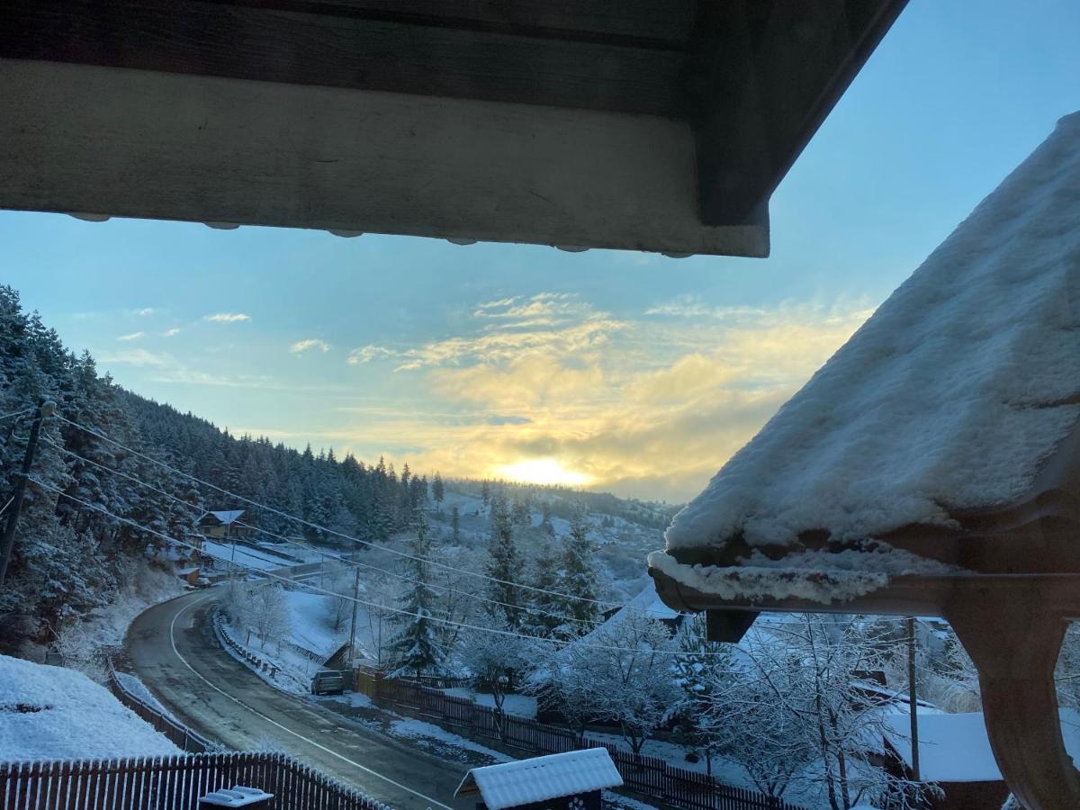 Pensiunea Ioana Ruginesti ภายนอก รูปภาพ